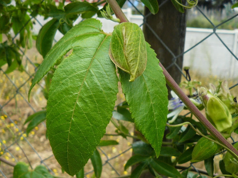 P1510664.JPG