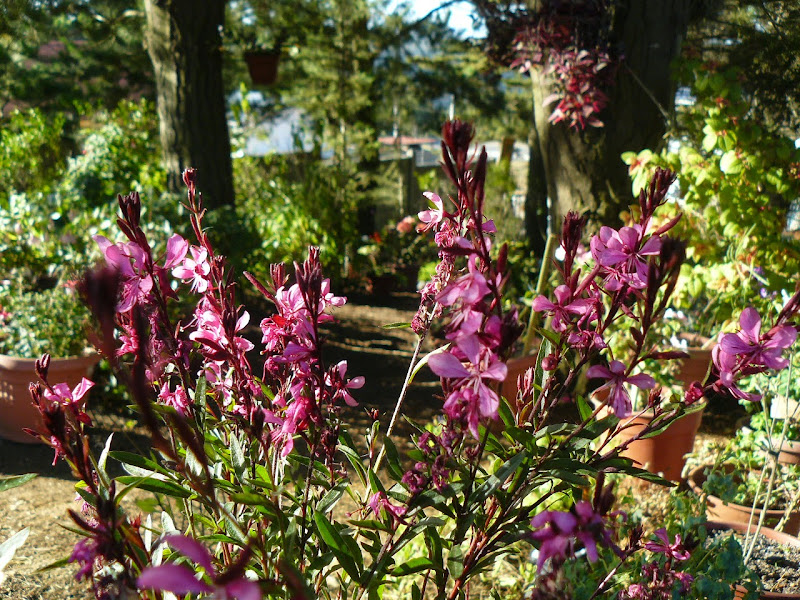 P1510902.JPG