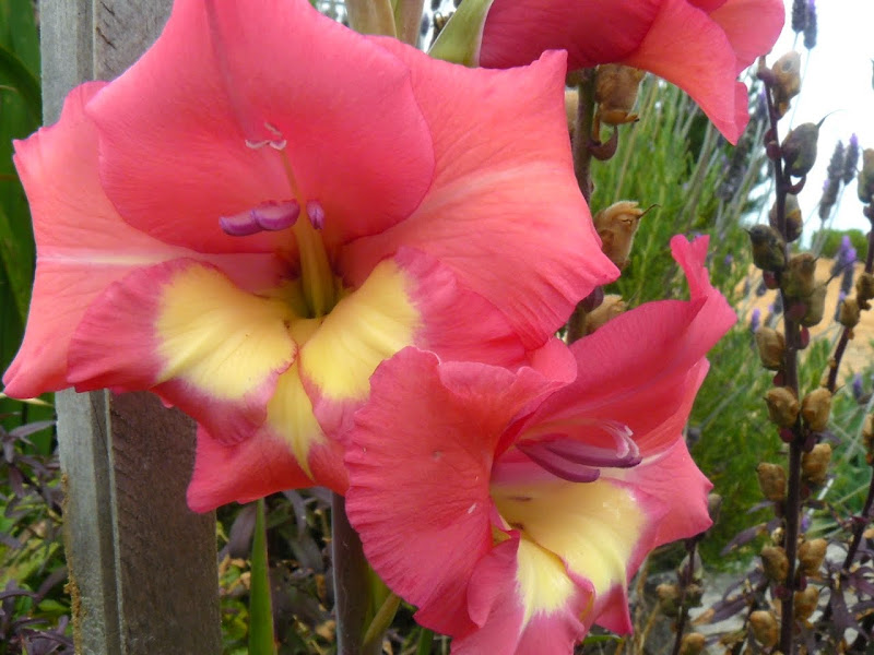 P1520129.JPG