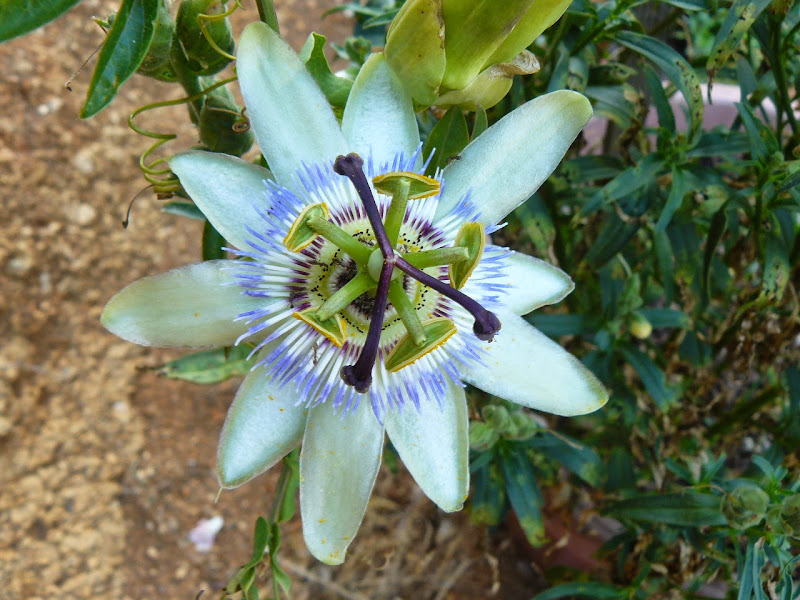 P1520544.JPG