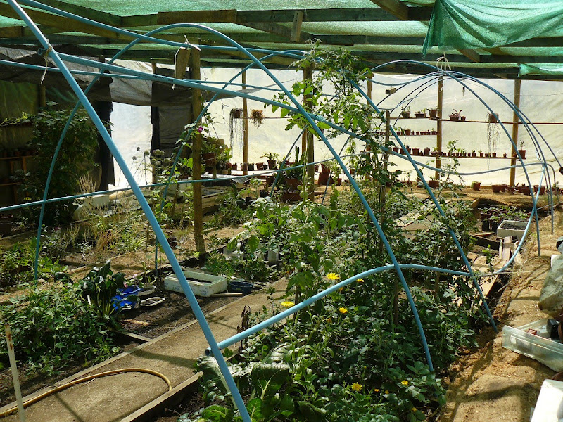 P1520675.JPG