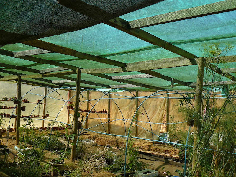 P1520681.JPG