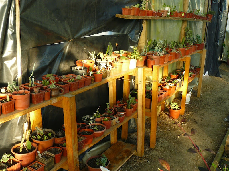 P1520685.JPG