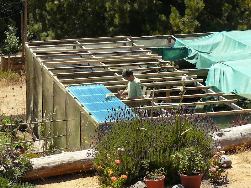 P1530059.JPG