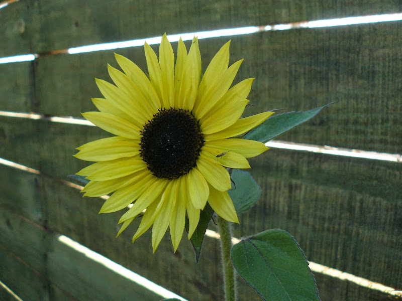 P1530065.JPG
