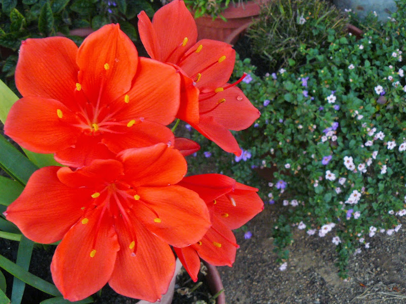 P1530090.JPG