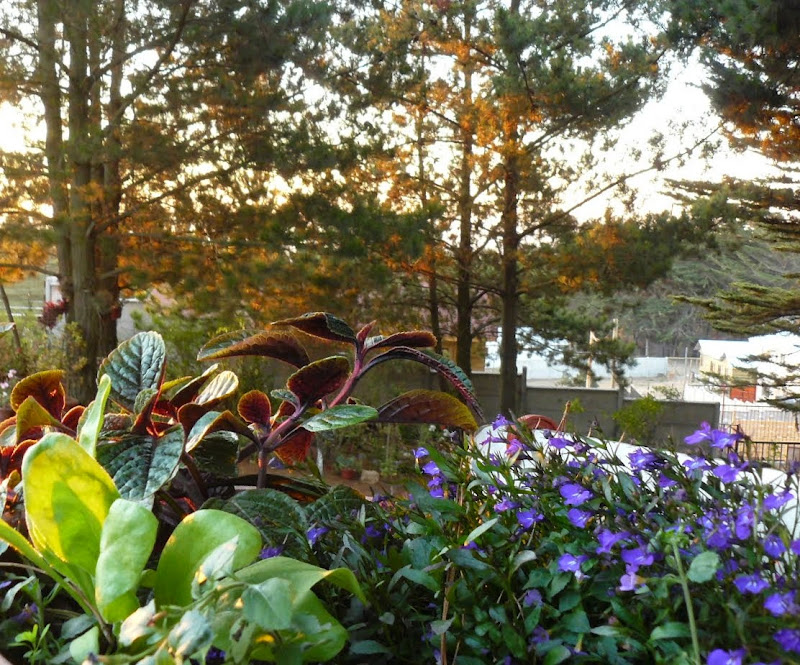 P1530102.JPG