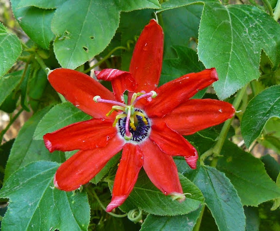 P1530324.JPG