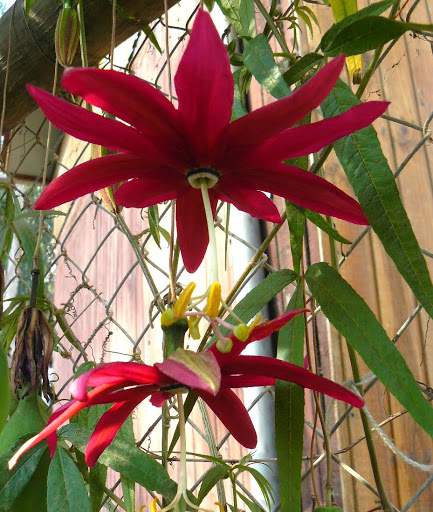 P1530343.JPG