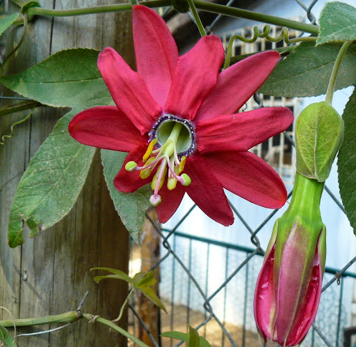 P1530345.JPG