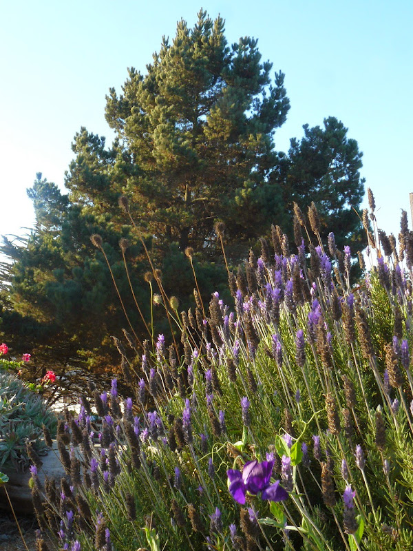 P1530874.JPG