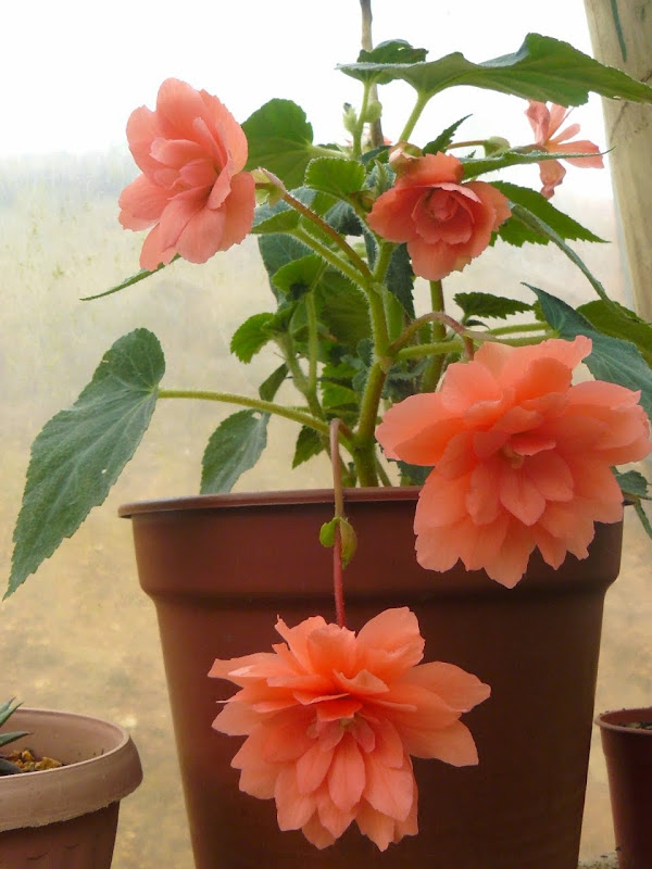 P1540018.JPG