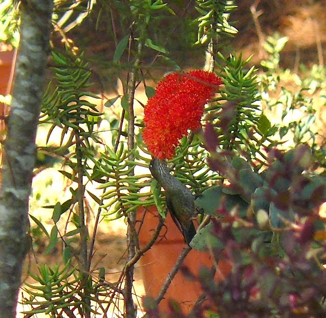 P1540097.JPG