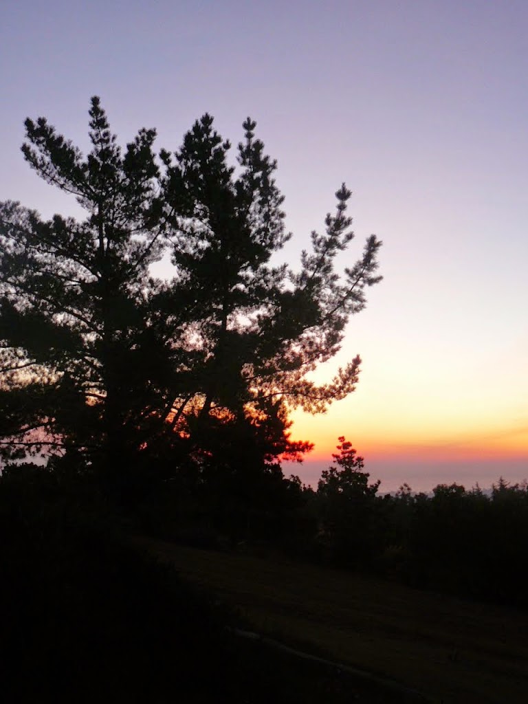 P1540417.JPG