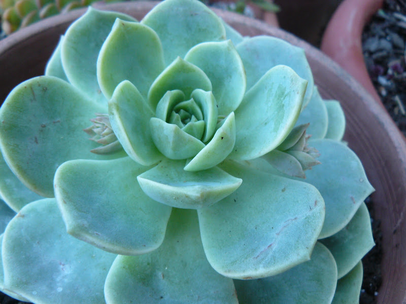 P1550345.JPG