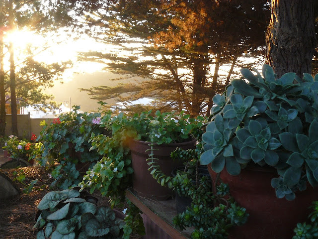 P1560640.JPG