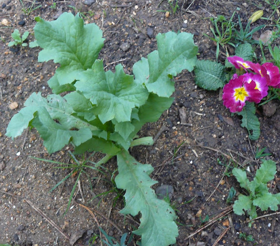P1560768.JPG
