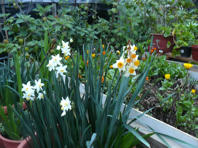 P1560794.JPG