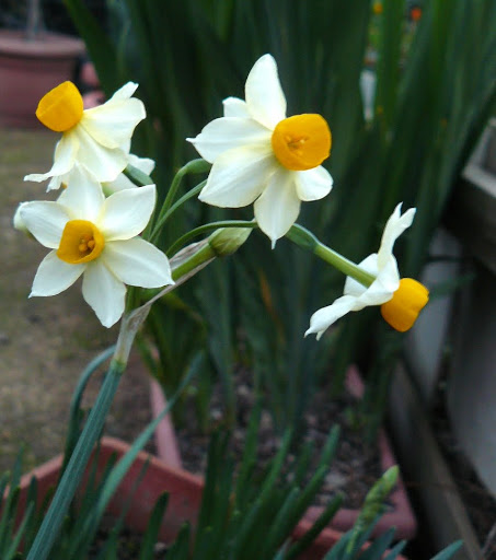 P1560800.JPG