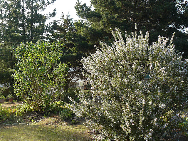 P1560851.JPG
