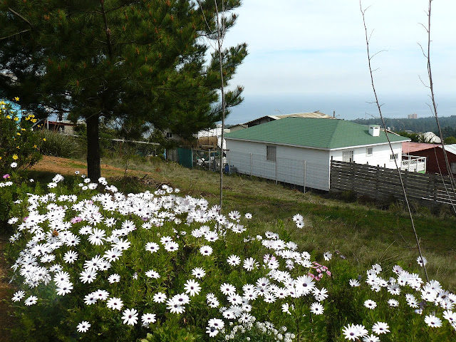 P1570314.JPG