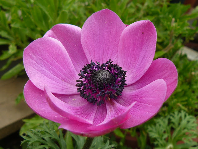 P1570344.JPG