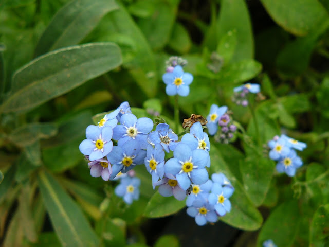 P1570372.JPG