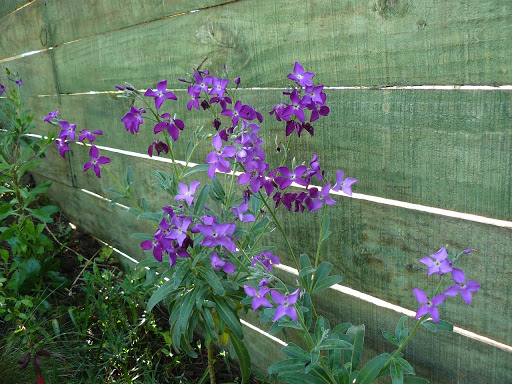 P1580200.JPG