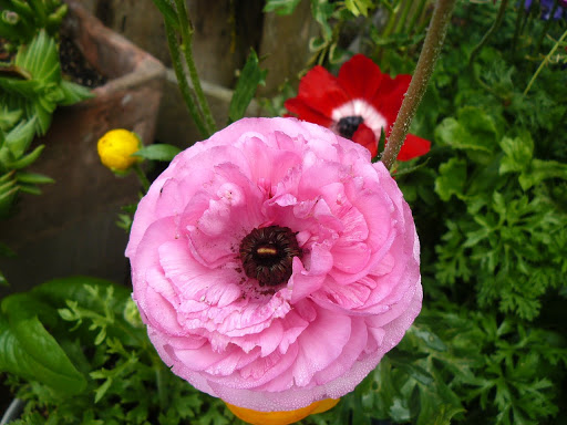 P1580565.JPG
