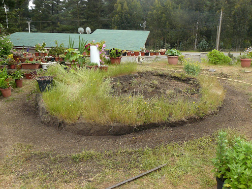 P1590902.JPG