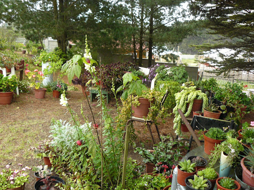 P1590928.JPG