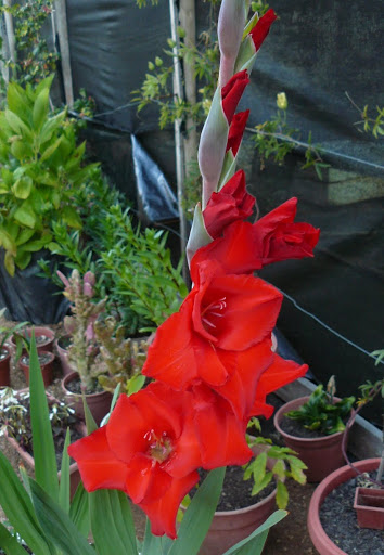 P1600204.JPG
