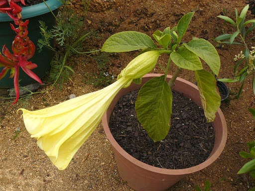 P1600310.JPG