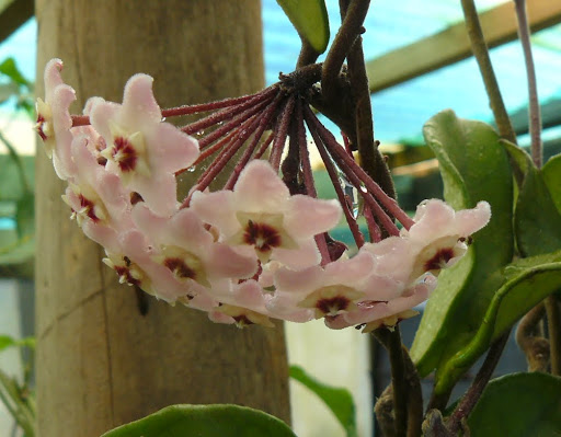 P1600671.JPG