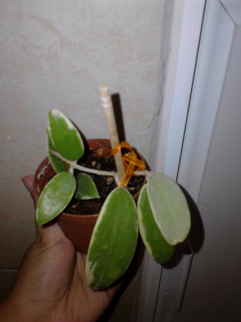 P191113_1803_zps8e9cc6e7.jpg