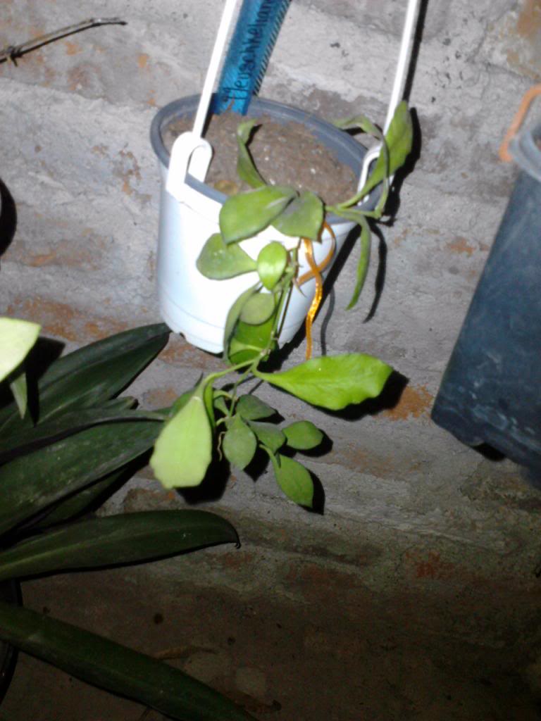 P191113_1834_zpsc2e201b2.jpg