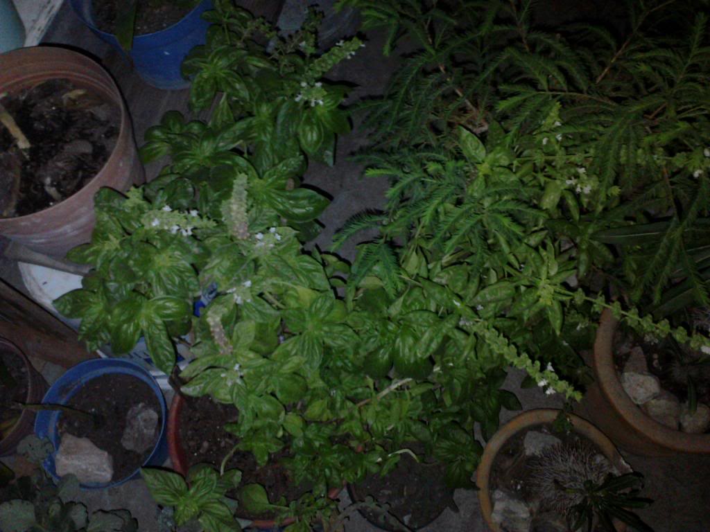 P191113_1835_zps90253c58.jpg