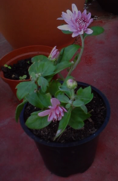 P201113_10.38_%255B01%255D.jpg
