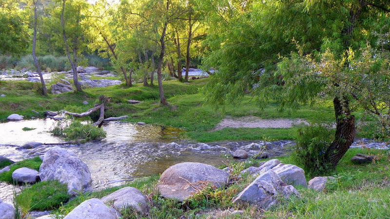 P2021754.JPG
