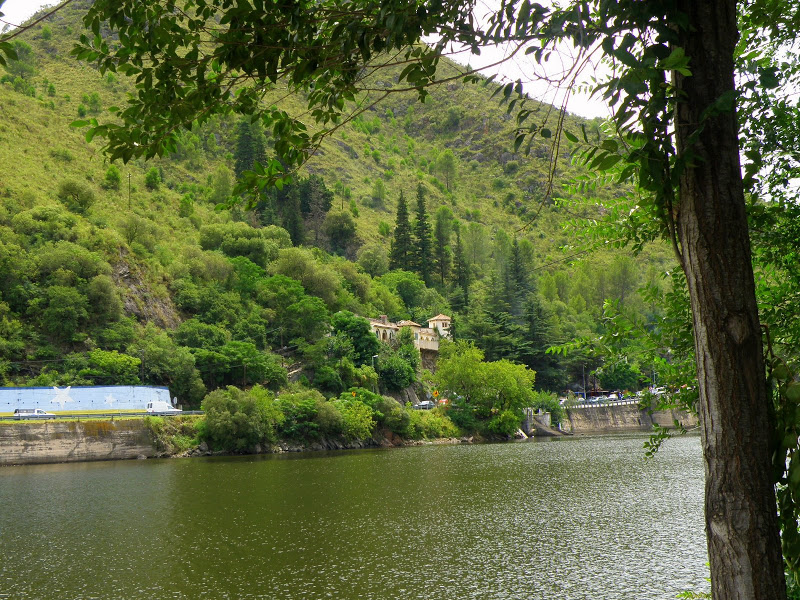P2031768.JPG