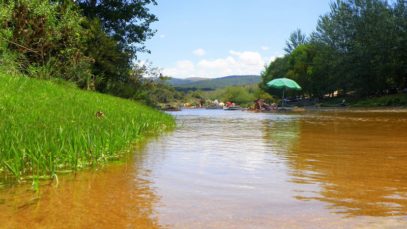P2041952.JPG