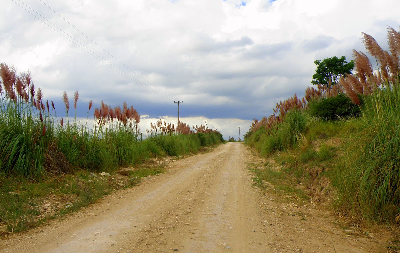 P2082255.JPG