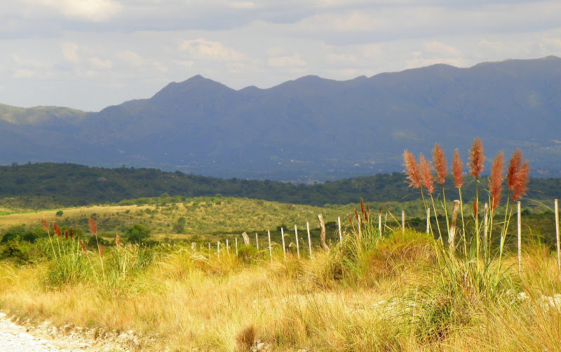 P2082267.JPG