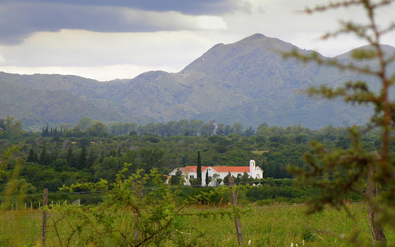 P2082276-1.JPG