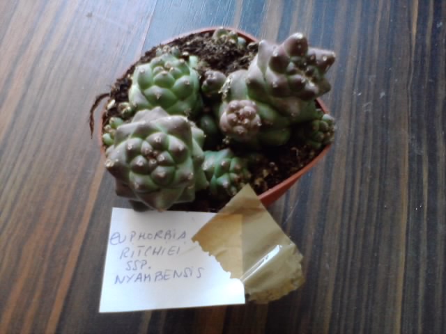 P210114_11.19.jpg