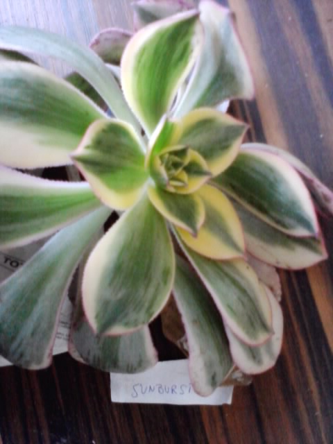 P210114_11.20.jpg