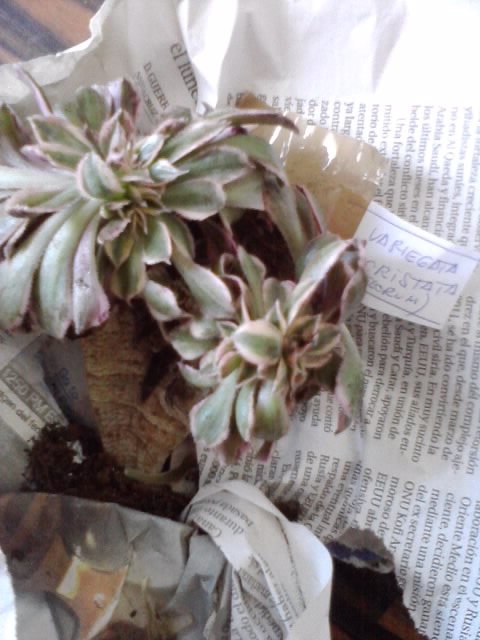 P210114_11.21.jpg