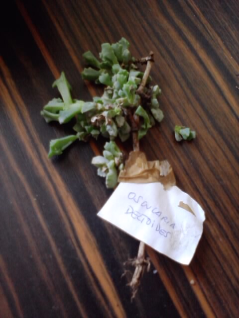 P210114_11.23.jpg