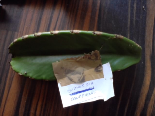 P210114_12.35.jpg