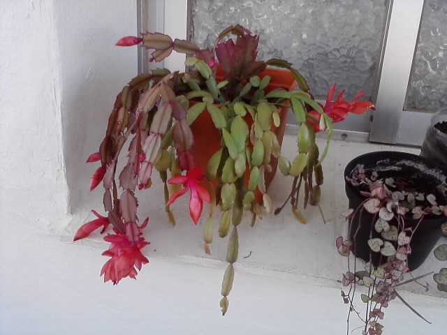 P211213_11.28.jpg